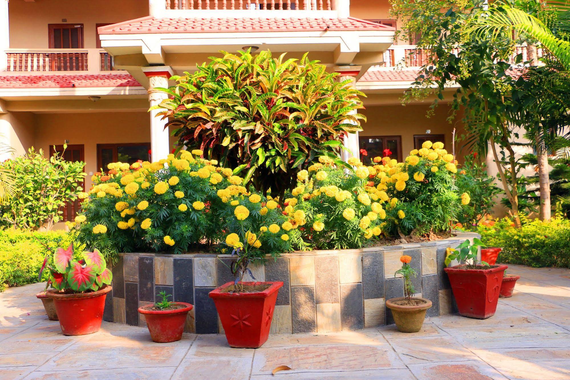 Hotel Royal Safari Sauraha Eksteriør billede